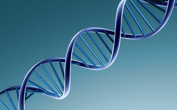 genes, minimalism, Spiral, DNA, chromosome, helix, molecular Structure