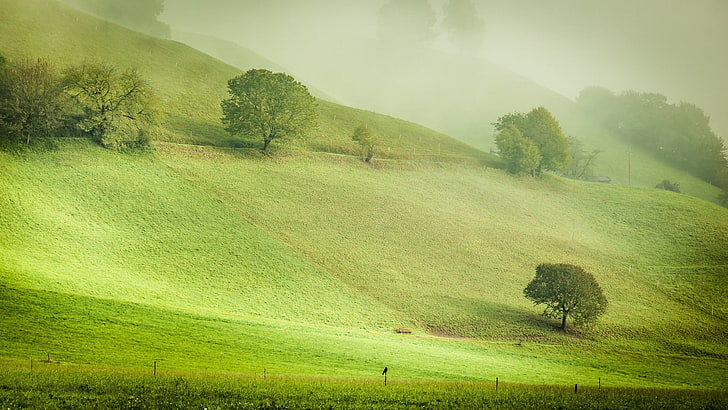 green mountain and trees, nature, landscape, hills, Austria, grass, HD wallpaper