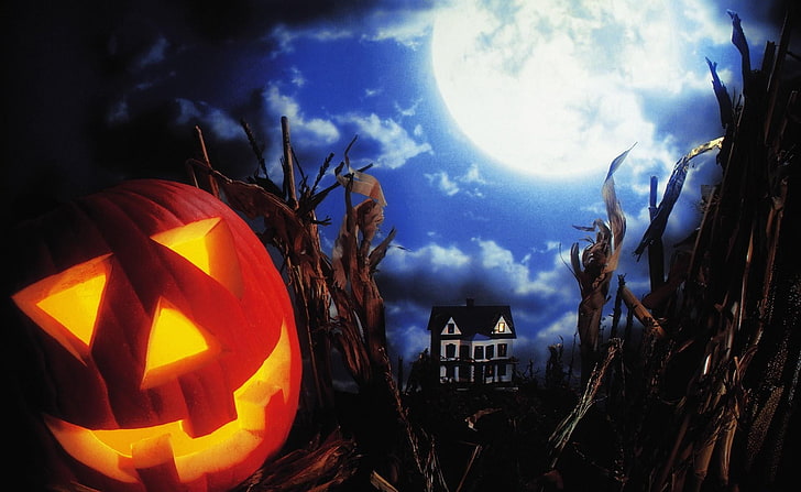 Halloween digital wallpaper, holiday, pumpkin, light, twigs, castle, HD wallpaper