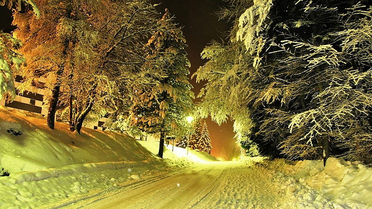 nature, landscape, evening, winter, road, lantern, snow, trees, HD wallpaper
