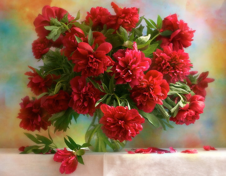 red peonies centerpiece, Flowers, bouquet, vase, nature, plant, HD wallpaper