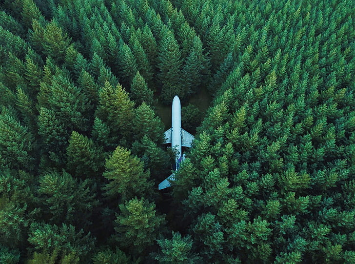 Best Aerial Drone Photography, Nature, Forests, Lost, Woods, Airplane, HD wallpaper