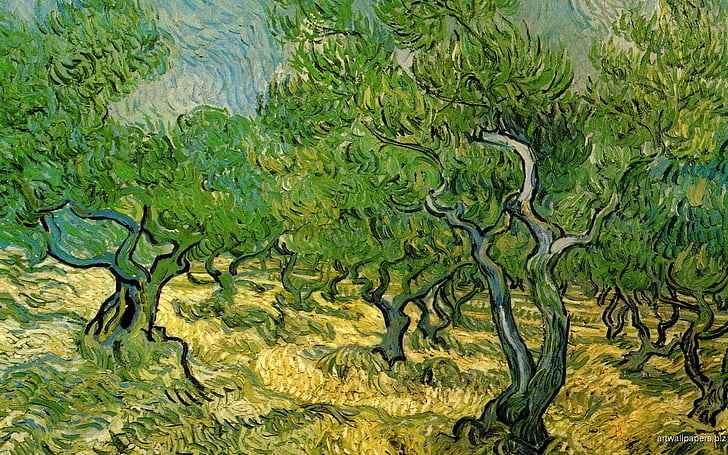 Van Gogh Wallpapers 52 pictures