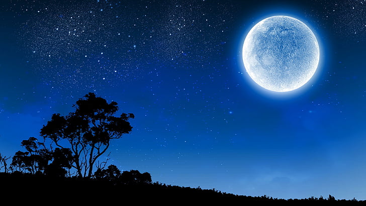 moon, full moon, night, night sky, starry, silhouette, starry night, HD wallpaper
