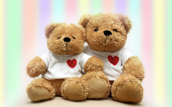 Teddy bears, 2 brown bear plush toy, photography, 1920x1200, love