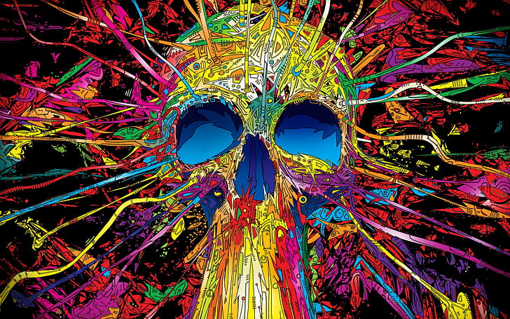 Colourful Skull, funny, scarry, photo, HD wallpaper
