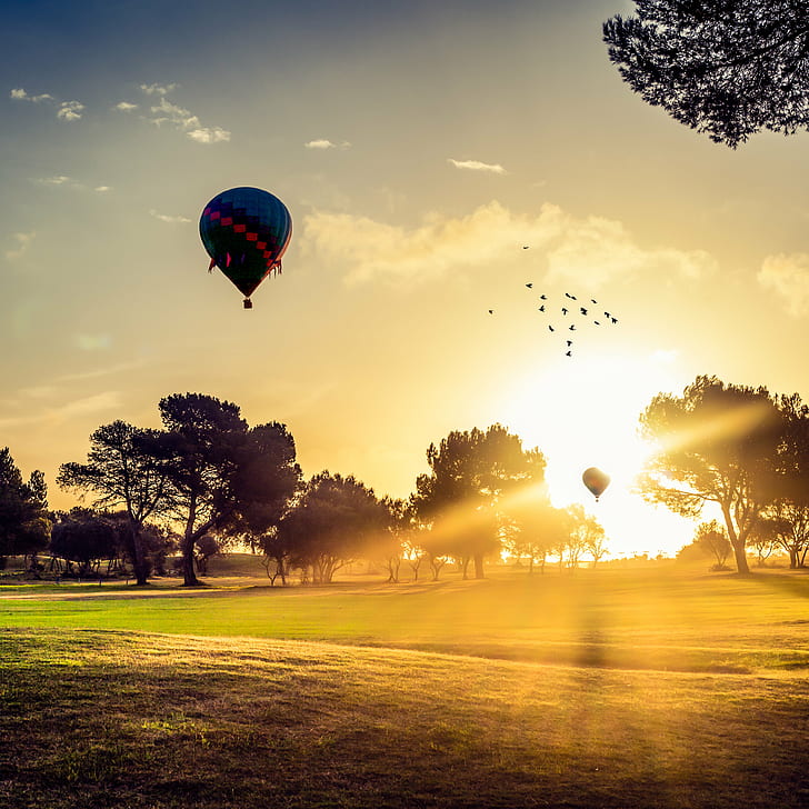 hot air balloons in sunset scenery, Amanece, Canon  5D, Mk2, Sigma, HD wallpaper