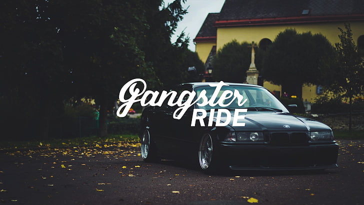 1920x1080 px bmw car Colorful GANGSTER RIDE Lowrider Tuning Animals Dolphins HD Art