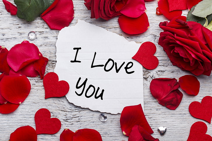I Love You HD Wallpapers  Wallpaper Cave