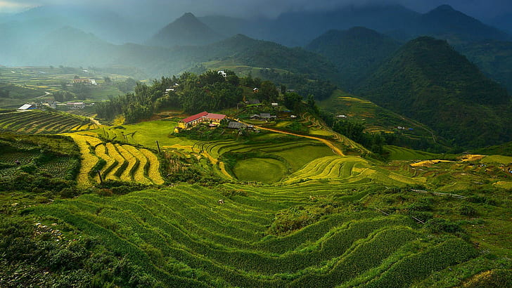 Rice Terraces in Vietnam, landscape, mountains, forest, HD wallpaper
