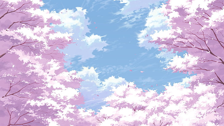 Cherry Blossom Sea Anime Scenery Wallpaper 4K PC Desktop 1530f