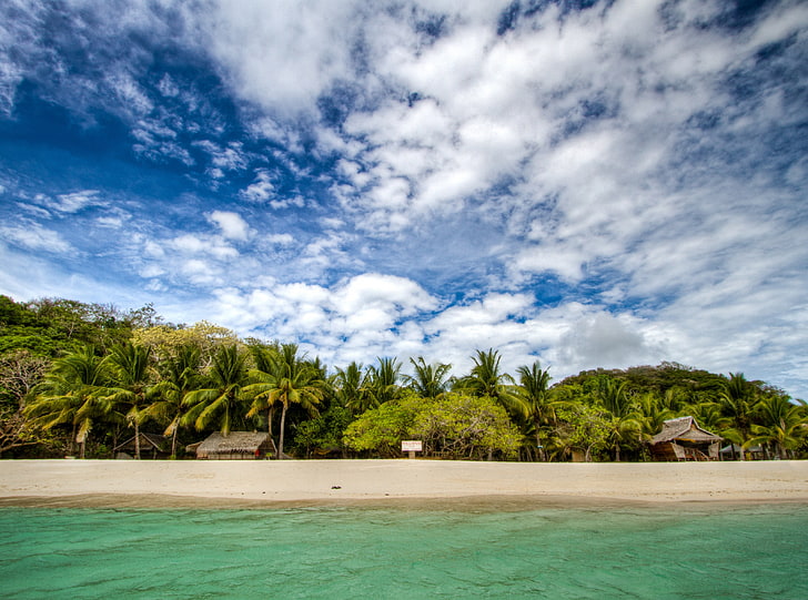Malcapuya Beach, green coconut palm trees, Travel, Islands, Blue, HD wallpaper