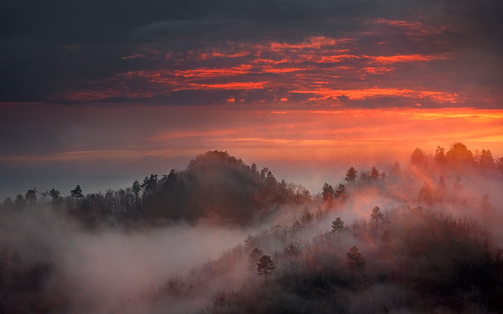 nature, landscape, mist, mountains, forest, sky, trees, fog, HD wallpaper