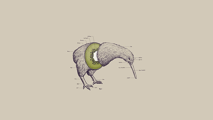 gray kiwi illustration, birds, kiwi (animal), abstract, animals, HD wallpaper