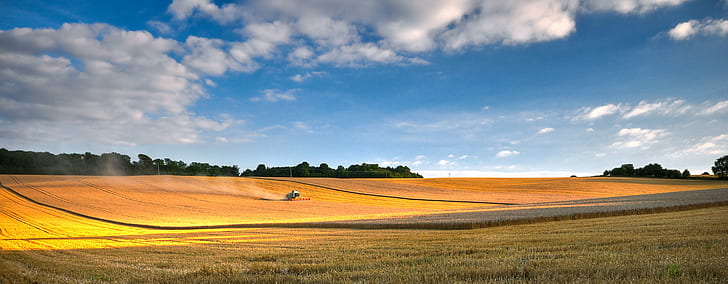 crop field panoramic photoraphy, wheat  field, sunset, summer, HD wallpaper