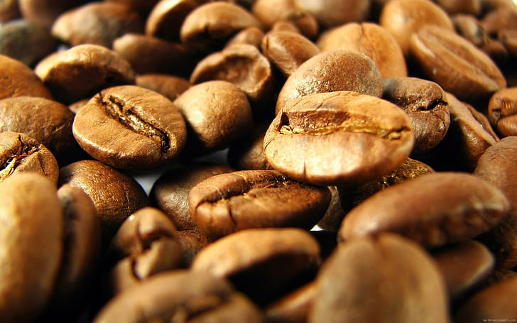 Coffee beans, coffee beans, food, brown, HD wallpaper