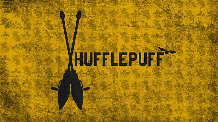 HD wallpaper: Harry Potter, Broom