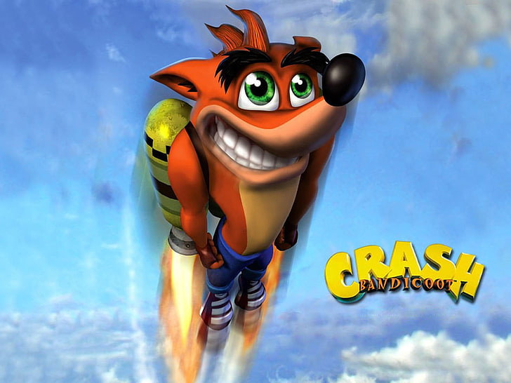 Video Game, Crash Bandicoot, Crash Bandicoot (Character), representation
