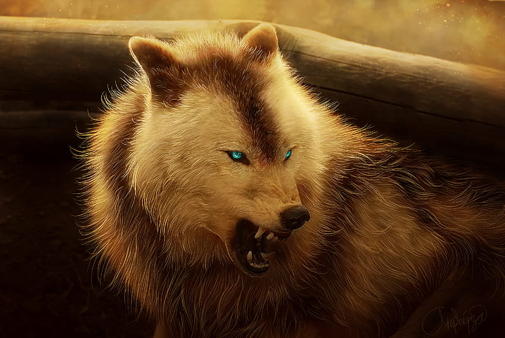 wolf, animals, angry, blue eyes