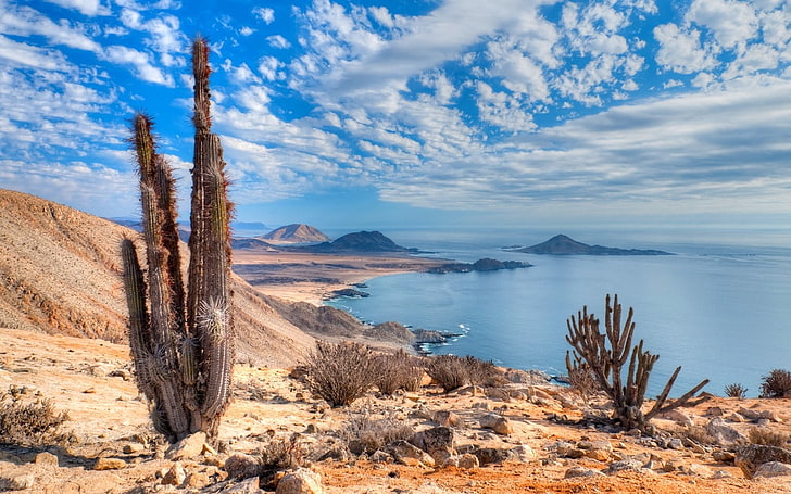 nature, landscape, beach, cactus, sea, hills, clouds, Atacama Desert