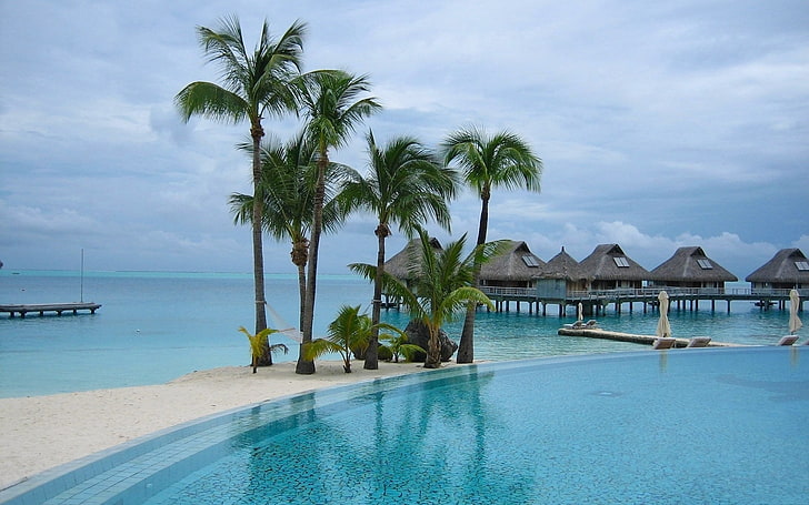 palm trees, island, water, sea, tropical climate, sky, scenics - nature