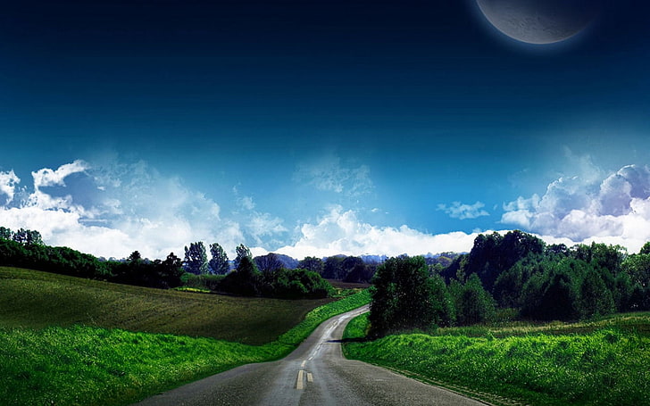 gray asphalt road, landscape, sky, cloud - sky, plant, direction, HD wallpaper