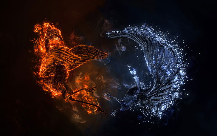 Fire Phoenix vs Ice Phoenix, 3d and abstract, HD wallpaper