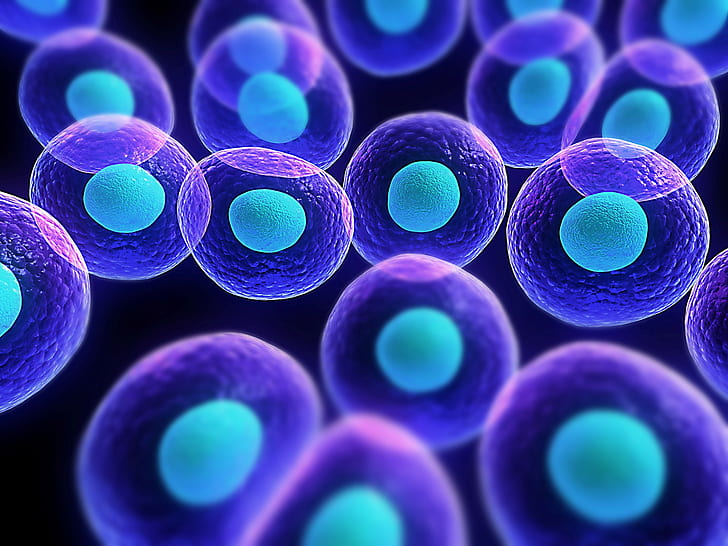 HD wallpaper: biology, cells, science