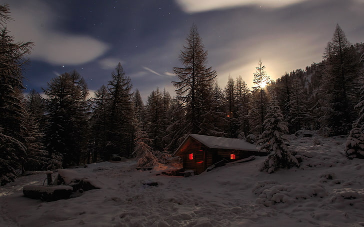 snow, cabin, trees, winter, cold temperature, sky, nature, plant