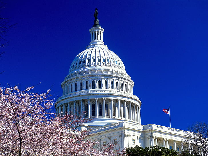 United States Capitol, HD wallpaper