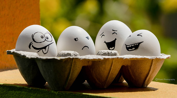 Funny Eggs, white eggs and gray egg tray, cute, food, artistic