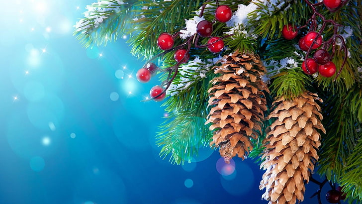 christmas, pine family, tree, spruce, conifer, cone, evergreen, HD wallpaper
