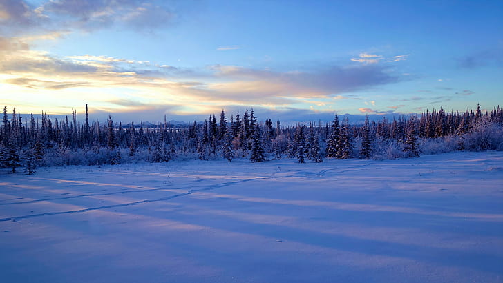 denali national park, winter, snow, zing, wilderness, alaska, HD wallpaper