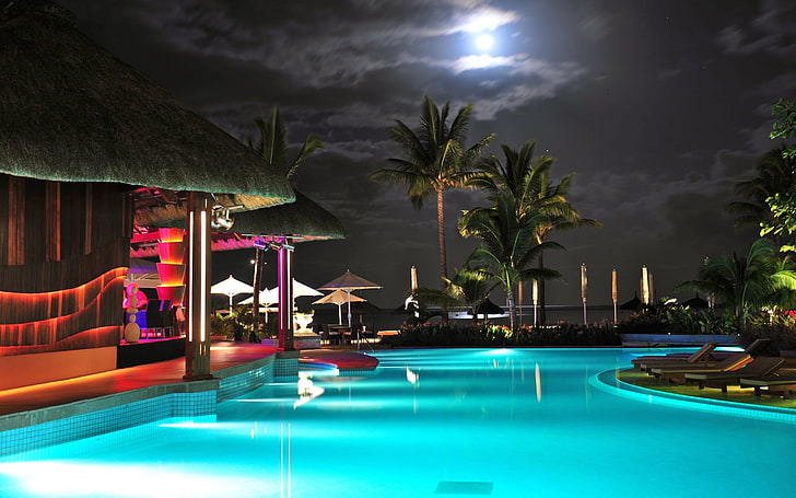 swimming pool, night, palm trees, water, tourist resort, nature, HD wallpaper