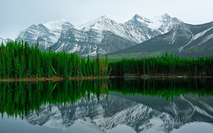 Herbert Lake, Banff National Park, mountain, water reflection, HD wallpaper