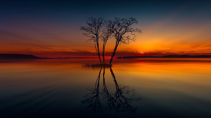 reflection, nature, sky, water, horizon, afterglow, lone tree, HD wallpaper