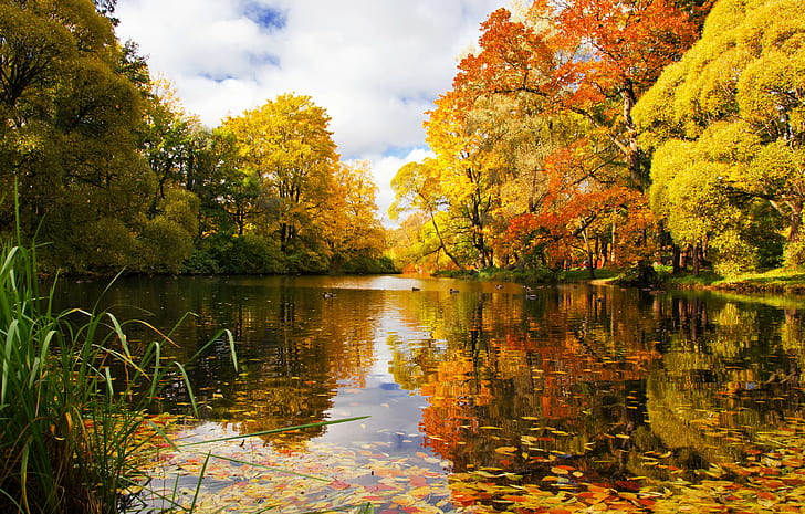 Russia, Saint Petersburg, autumn, Park, River, Pond, HD wallpaper