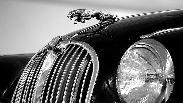 auto, automobile, automotive, black and white, car, chrome, HD wallpaper