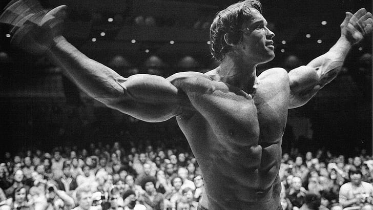 bodybuilding, Arnold Schwarzenegger, Bodybuilder, HD wallpaper