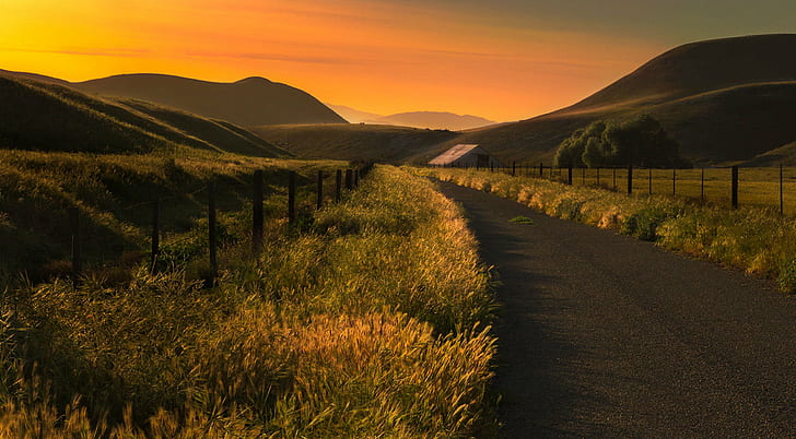 black concrete road between grass during golden hour, Road Less Traveled, HD wallpaper