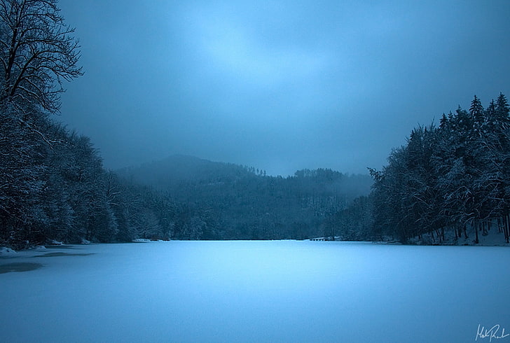 trees on ice, lake, night, frozen, surface, blue, winter, snow