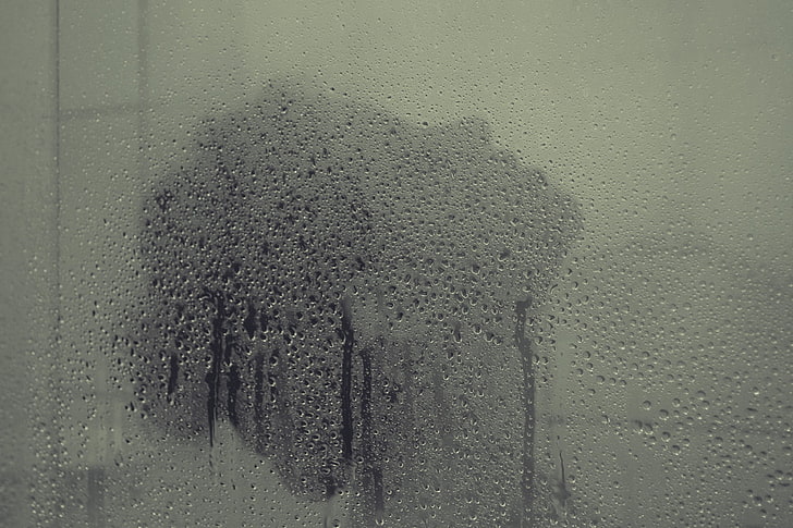 shower, women, glass, water drops, water on glass, wet, glass - material, HD wallpaper