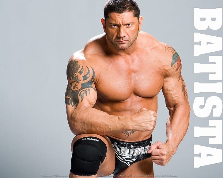 The Animal Dave Batista WWE FNSB13 (78) | FNSB13.. | Flickr