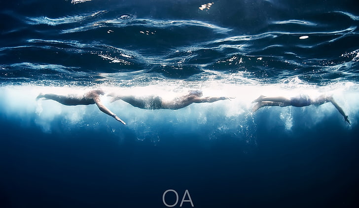 underwater, swimming, sport, sports, sea, undersea, real people, HD wallpaper