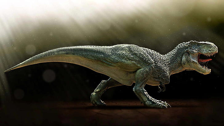 Paleontology, carnivorous dinosaur, HD wallpaper