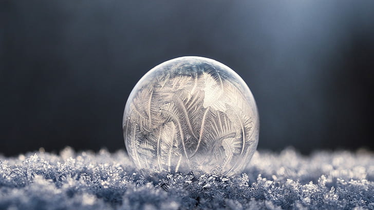 macro, frost, frozen bubble, soap, bubbles, photography, winter, HD wallpaper