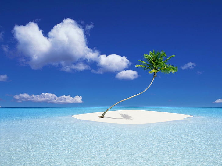 beach, island, palm trees, sea