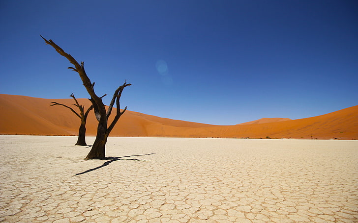 Namib Coastal Desert 4K, climate, landscape, arid climate, sky