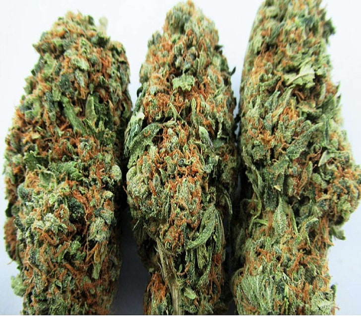 HD wallpaper: mail order marijuana, mail order weed, marijuana - herbal  cannabis | Wallpaper Flare