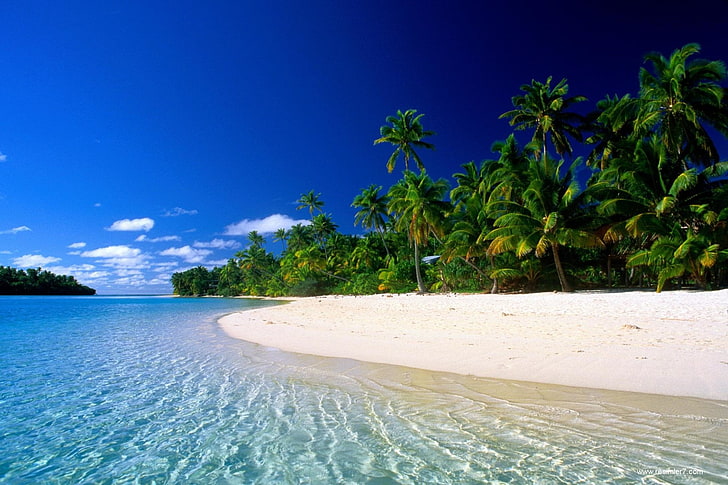 blue body of water, Earth, Beach, Island, Ocean, Palm Tree, Sand, HD wallpaper